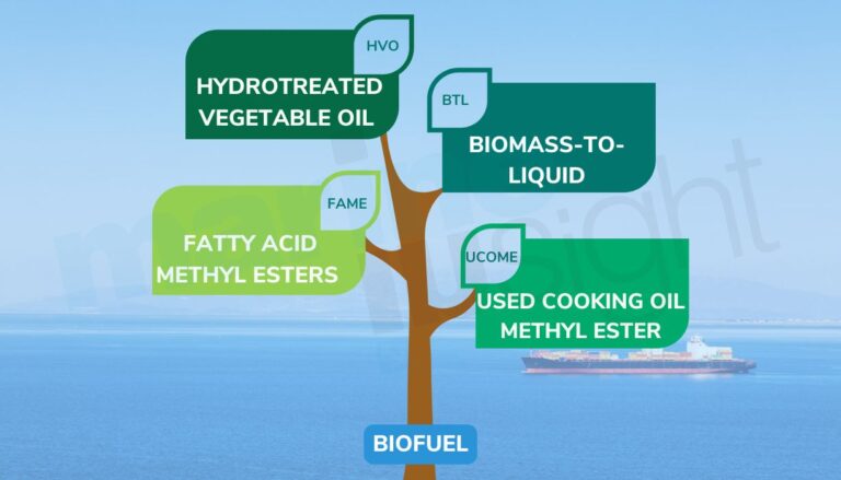 Biofuel types