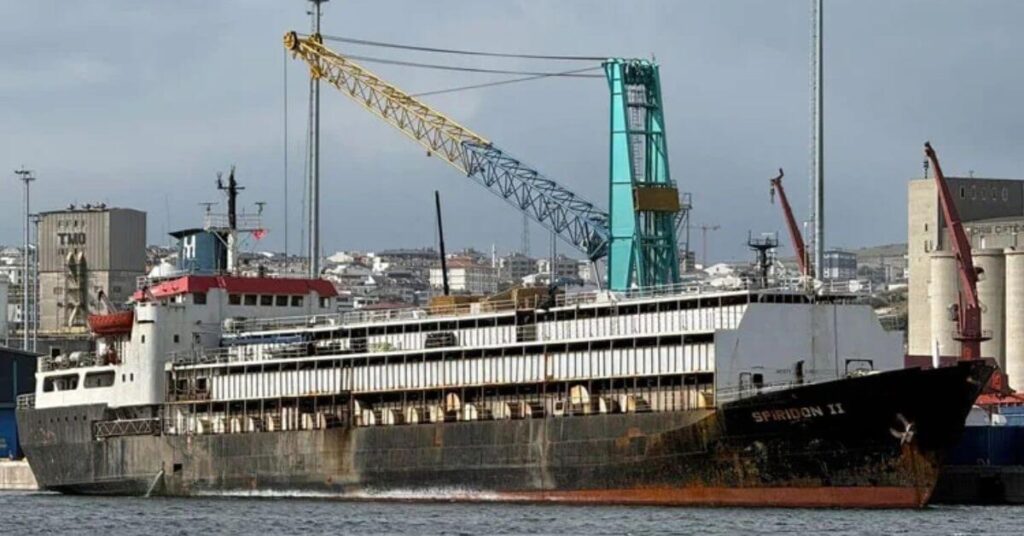 Livestock Carrier With 2,901 Cattle Stranded Off Turkish Coast For Over 2 Weeks; 48 Dead