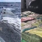 Watch: Portuguese Navy Seizes Narco-Sub Carrying 1.7 Tonnes of Cocaine, 4 Arrested