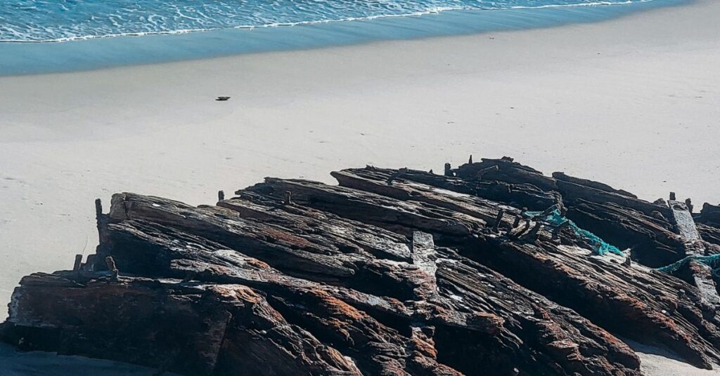 136-Year-Old Shipwreck Resurfaces On Island Beach State Park In New Jersey