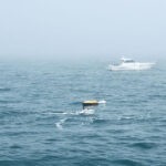 China Tests First Ship-Based Cross-Domain Unmanned Cluster System At Sea