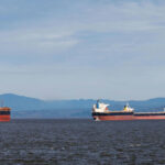 India Confirms Safety Of All 22 Indian-Flagged Ships And 611 Seafarers Amid Strait Of Hormuz Tensions