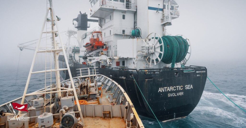 Watch: Activist Vessel Intentionally Hits Ship Of World’s Largest Krill Harvester In Antarctic Waters