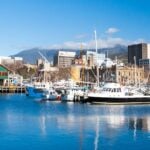 Worker Dies In A Tragic Accident At New Zealand’s CentrePort In Wellington