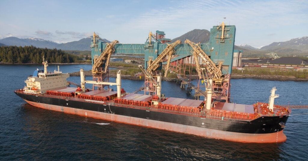 Captain Of Russian-Controlled Bulker Charged Over Alleged Export Of 54,000 Tonnes Of Grain