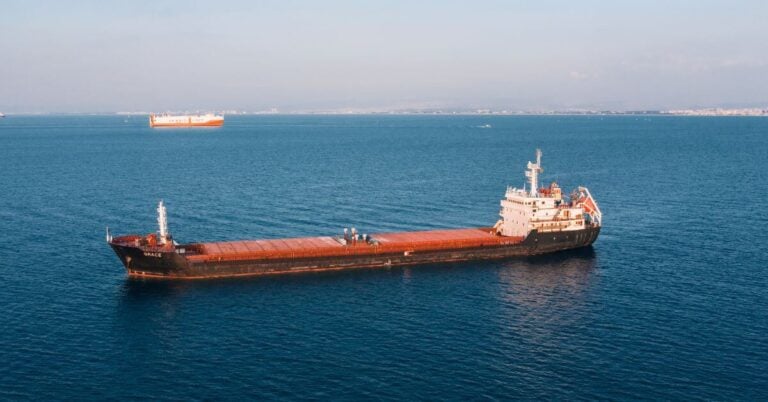 Houthis Vow Not To Attack US Ships In Red Sea, Warn Countries Backing Saudi Arabia