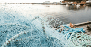 DP World Turns Fishing Nets From Sea Of Marmara Into Custom Designed Sunglasses To Protect Marine Life