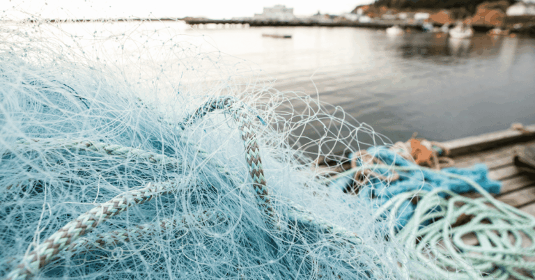 DP World Turns Fishing Nets From Sea Of Marmara Into Custom Designed Sunglasses To Protect Marine Life