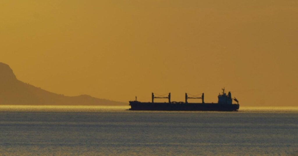 Cargo Ship Carrying Indian And Azerbaijani Crew Sinks In Black Sea After Drone Strike, 2 Killed